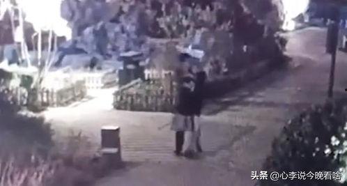 最新吃瓜爆料免费观看兰州老街,免费观看最新吃瓜爆料，带你领略古街魅力